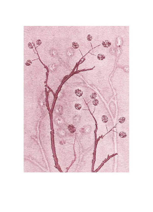 Pernille Folcarelli Alder blush