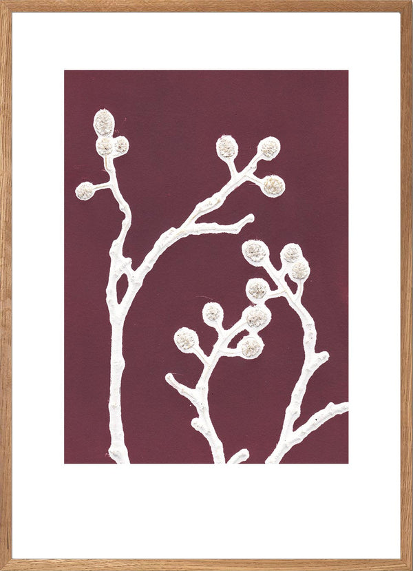 Pernille Folcarelli Alder Oxide