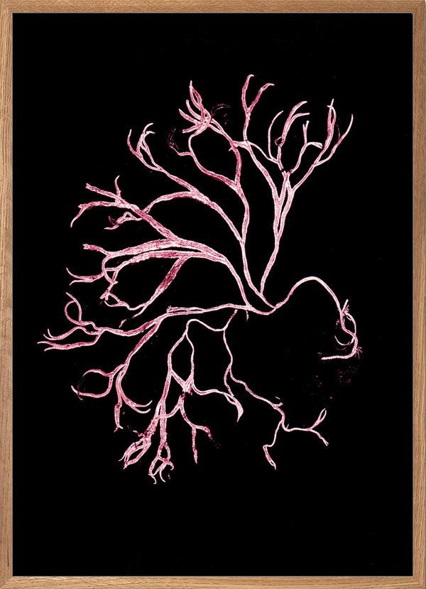 Pernille Folcarelli Algae Pink