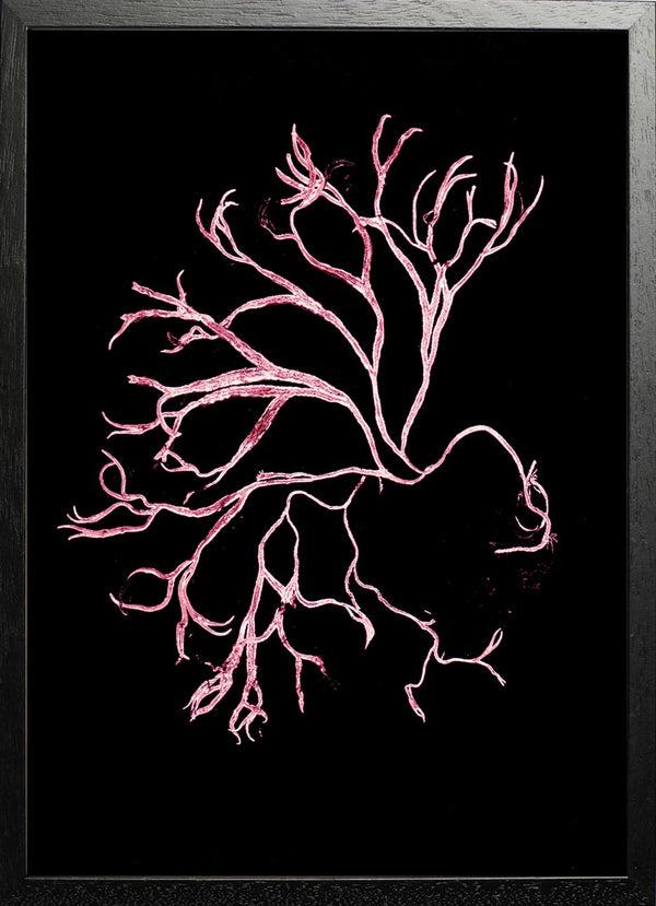 Pernille Folcarelli Algae Pink