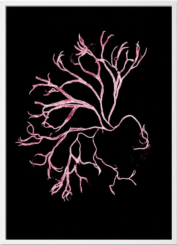 Pernille Folcarelli Algae Pink