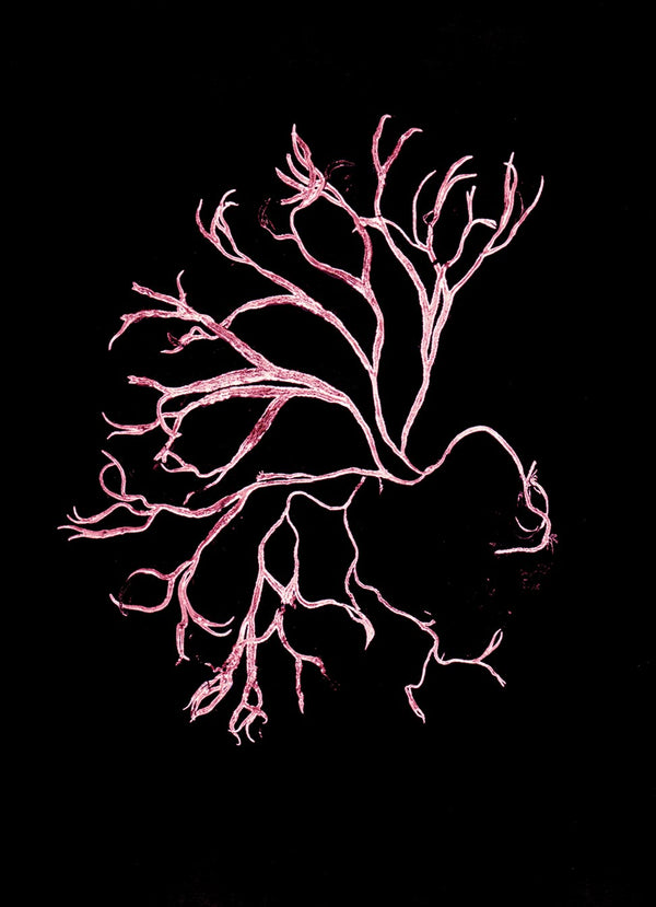 Pernille Folcarelli Algae Pink