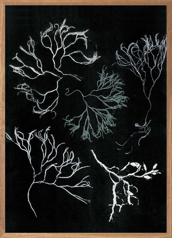 Pernille Folcarelli Algae Seagreen