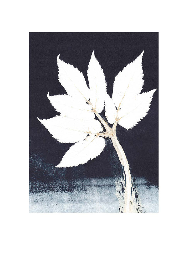 Pernille Folcarelli Art Wall No.11 - Set Of 5 Prints