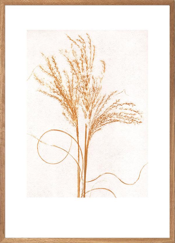 Pernille Folcarelli Art Wall No.2 - Set Of 5 Prints