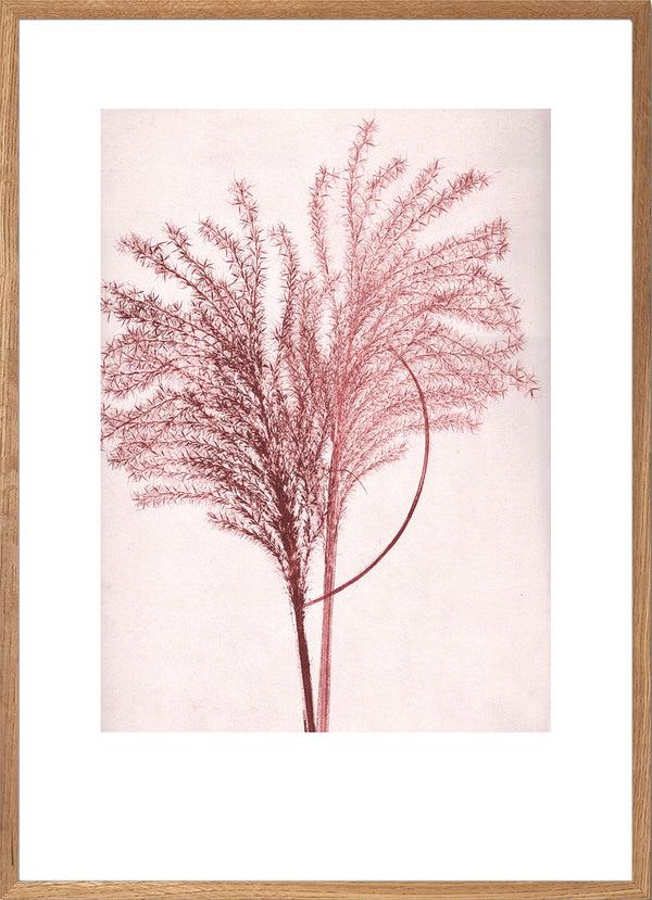 Pernille Folcarelli Art Wall No.2 - Set Of 5 Prints