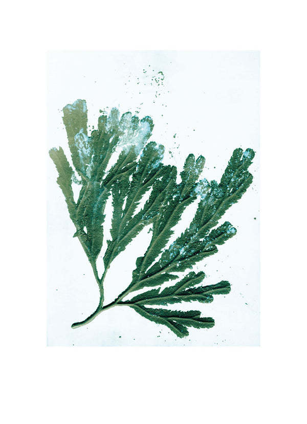 Pernille Folcarelli Art Wall No.3 - Set Of 4 Prints