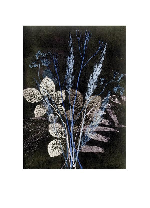 Pernille Folcarelli Art Wall No.4 - Set Of 5 Prints