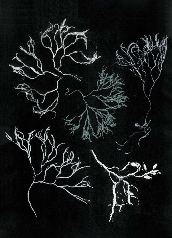 Pernille Folcarelli Art Wall No.5 - Set Of 7 Prints