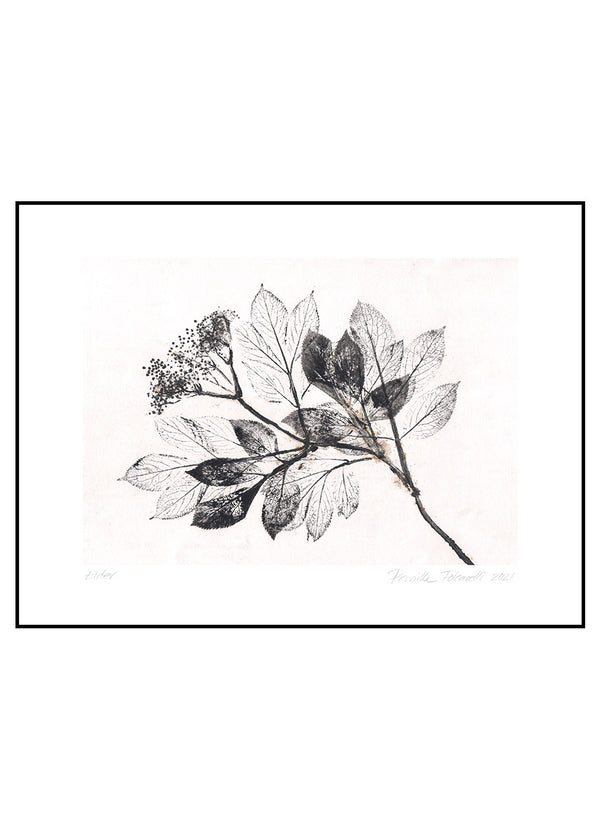 Pernille Folcarelli Art Wall No.8 - Set Of 6 Prints
