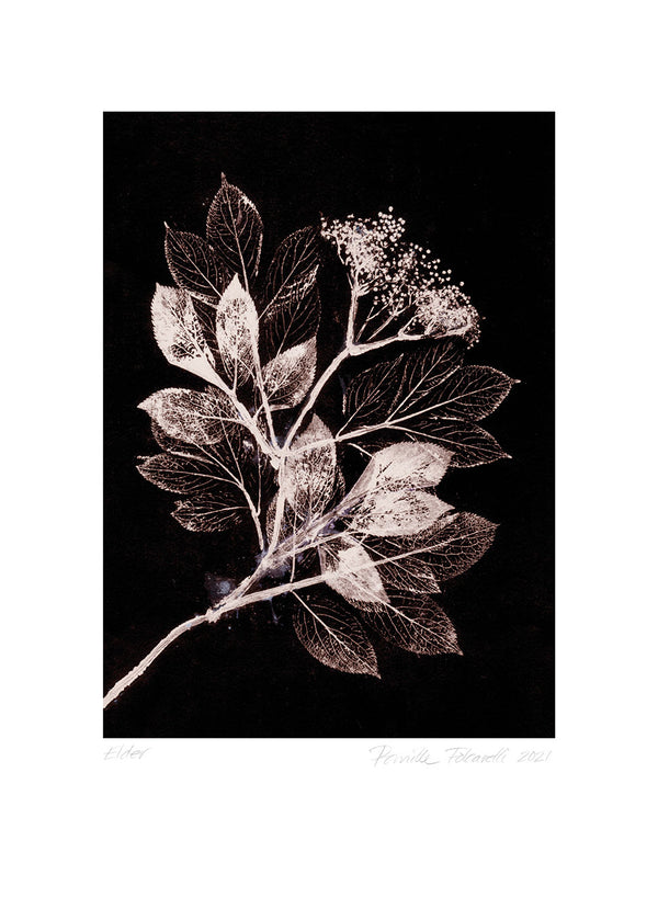 Pernille Folcarelli Art Wall No.8 - Set Of 6 Prints