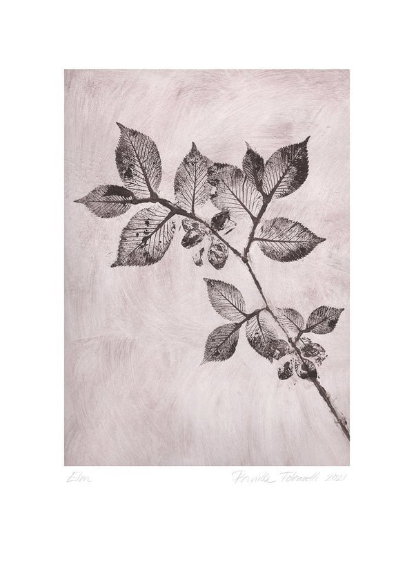 Pernille Folcarelli Art Wall No.8 - Set Of 6 Prints