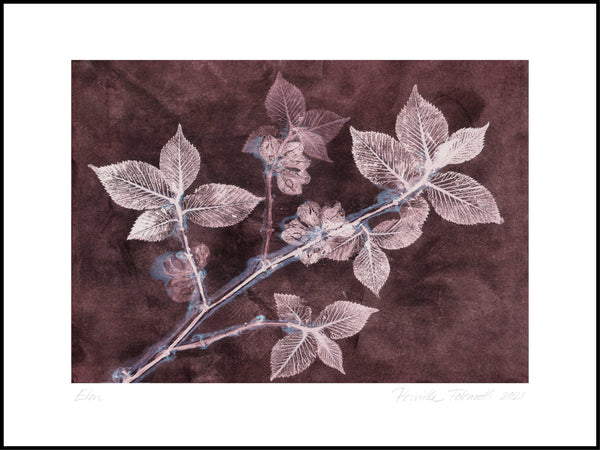 Pernille Folcarelli Art Wall No.9 - Set Of 4 Prints