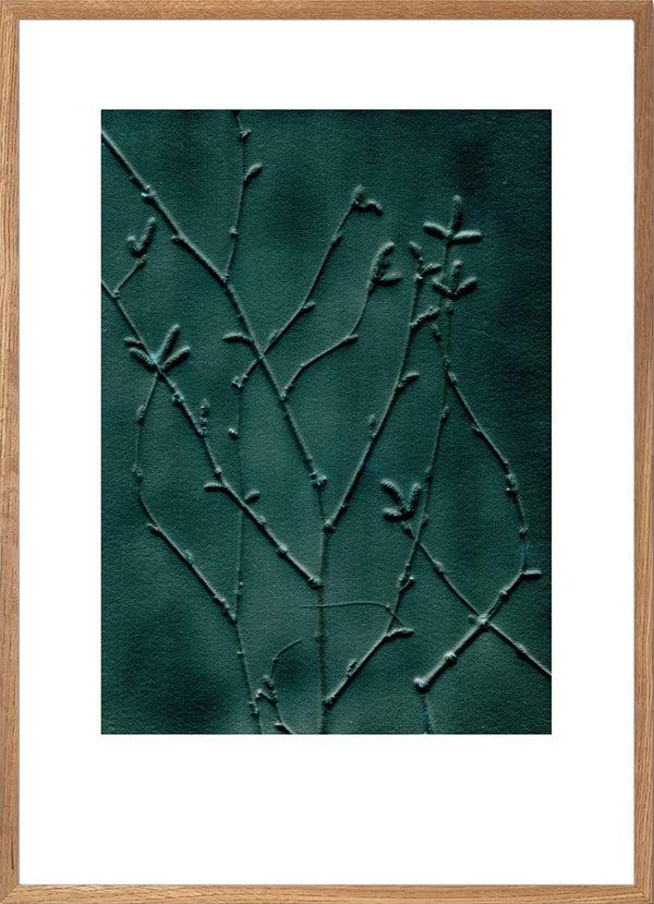 Pernille Folcarelli Birch Emerald