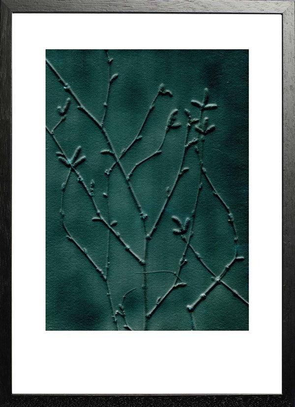 Pernille Folcarelli Birch Emerald