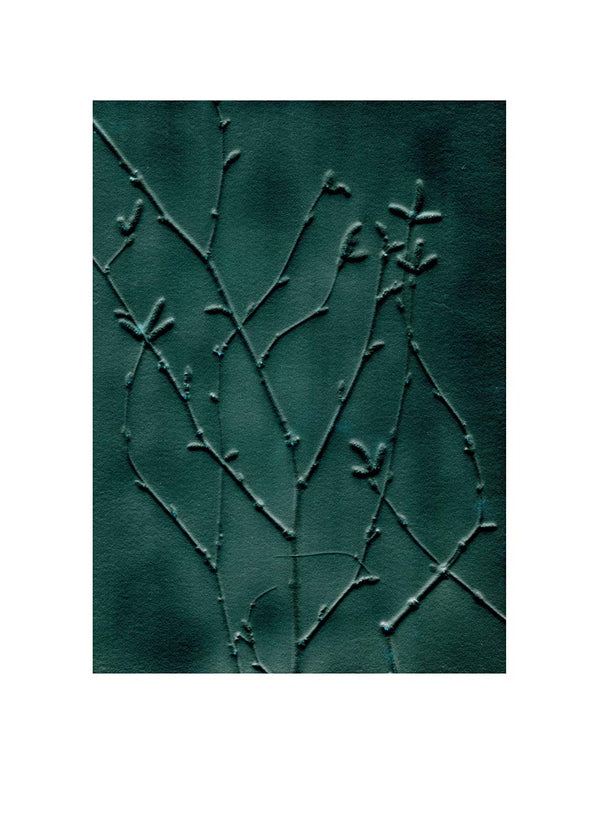 Pernille Folcarelli Birch emerald