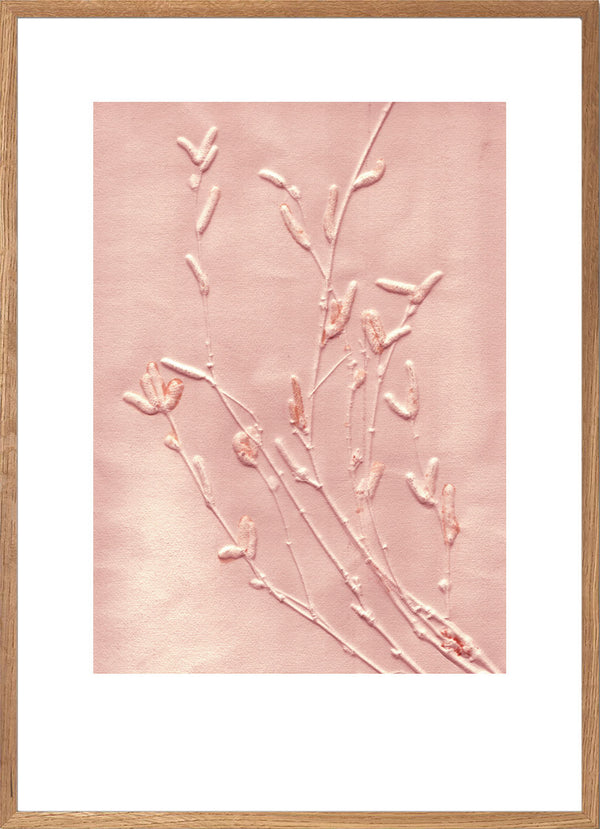 Pernille Folcarelli Birch Sunrise