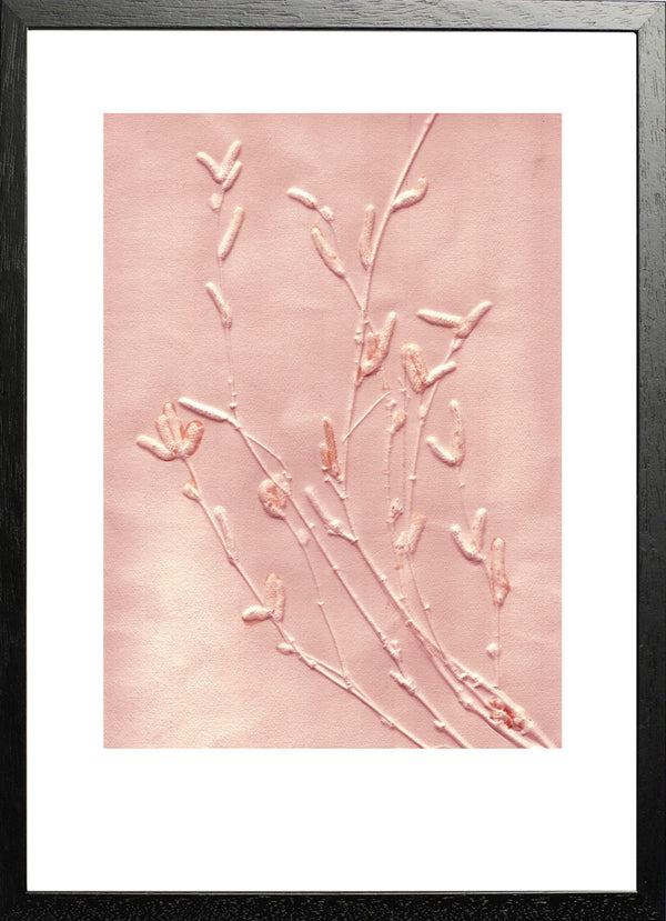 Pernille Folcarelli Birch Sunrise