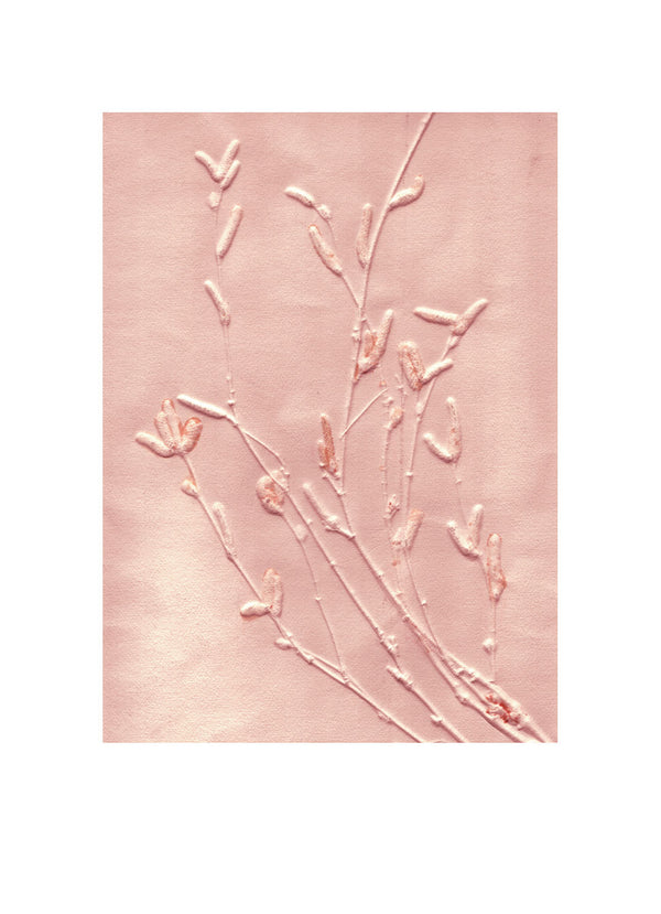 Pernille Folcarelli Birch sunrise