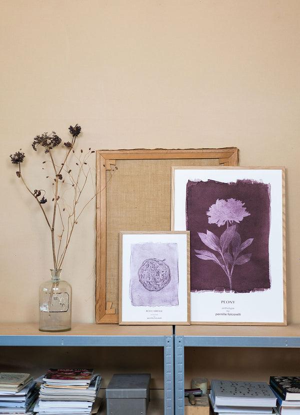 Pernille Folcarelli Cabbage Violet