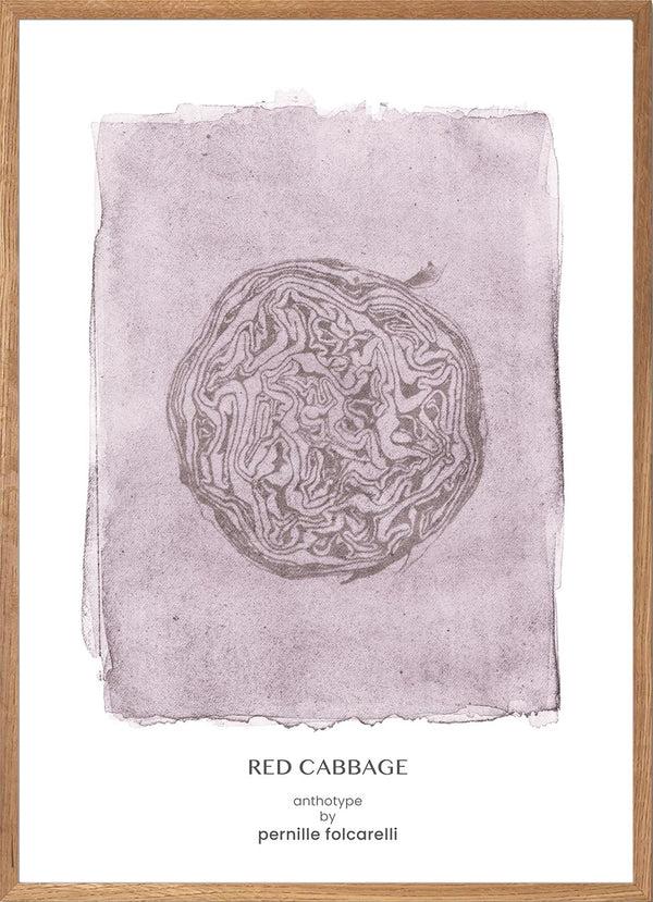 Pernille Folcarelli Cabbage Violet