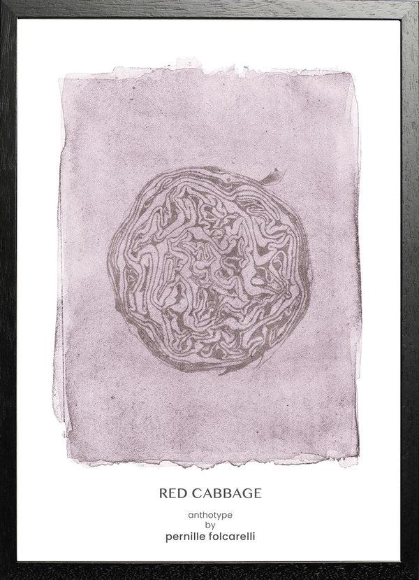 Pernille Folcarelli Cabbage Violet