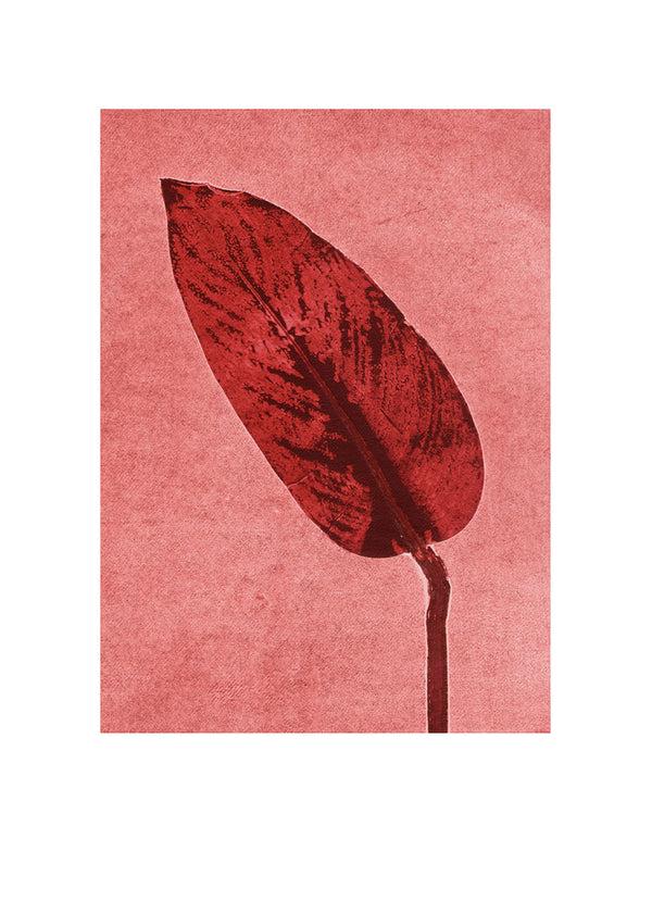 Pernille Folcarelli Calathea Brick Red