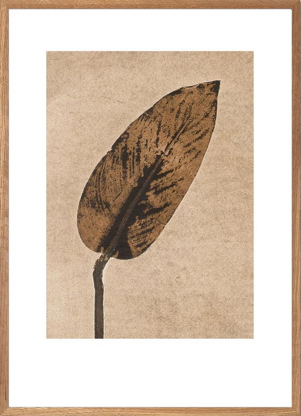 Pernille Folcarelli Calathea Caramel