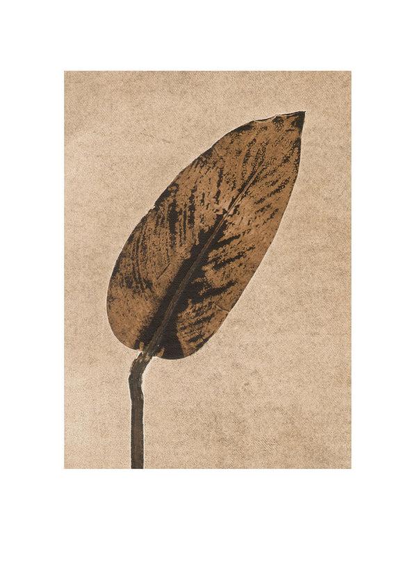 Pernille Folcarelli Calathea Caramel