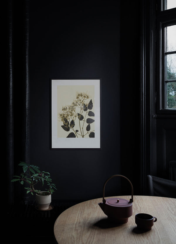 Pernille Folcarelli Clematis Ochre Green