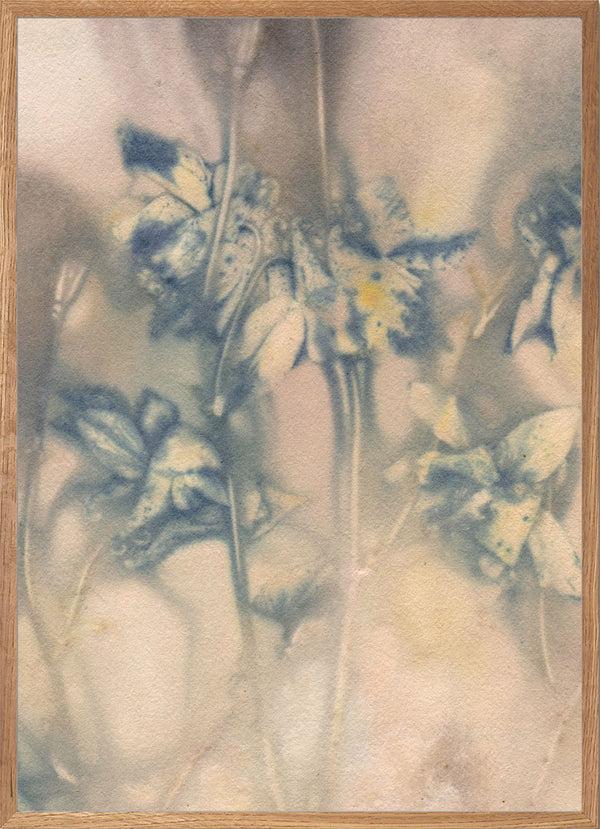 Pernille Folcarelli Columbine 1 Blue/Tan