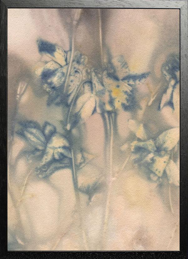 Pernille Folcarelli Columbine 1 Blue/Tan