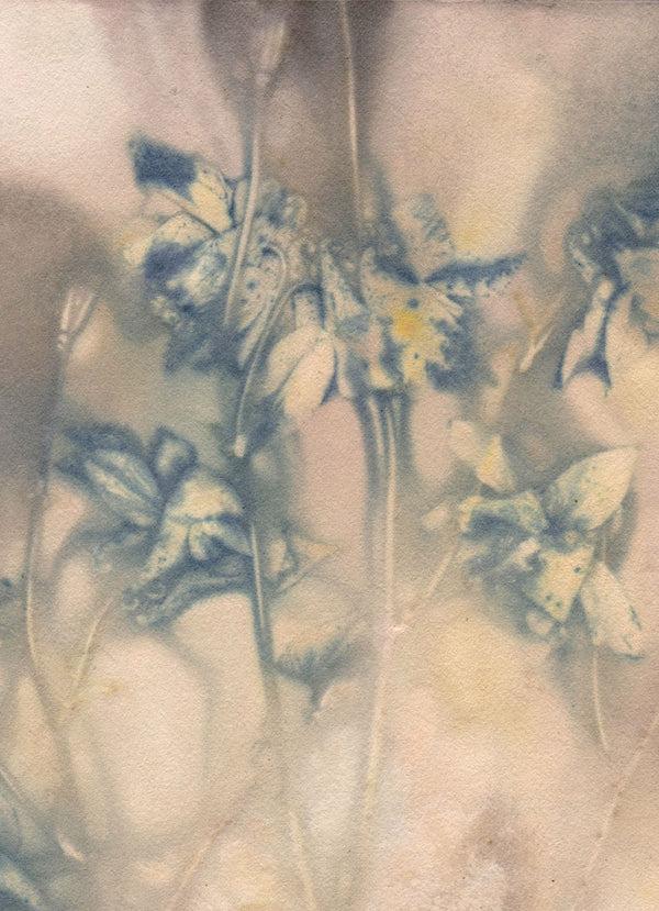 Pernille Folcarelli Columbine 1 Blue/Tan