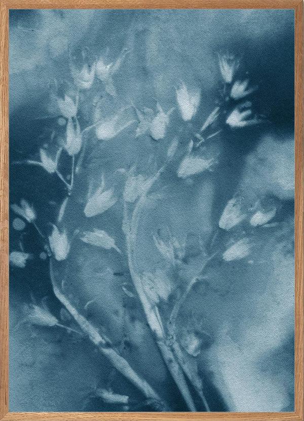 Pernille Folcarelli Drooping Star Blue