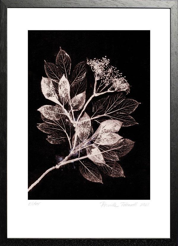 Pernille Folcarelli Elder 1