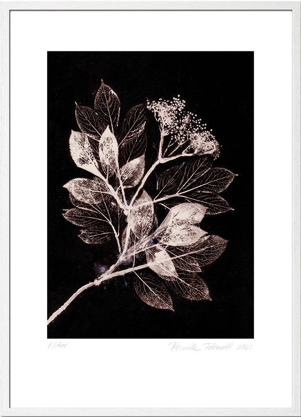 Pernille Folcarelli Elder 1