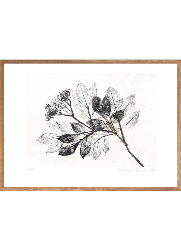 Pernille Folcarelli Elder 2