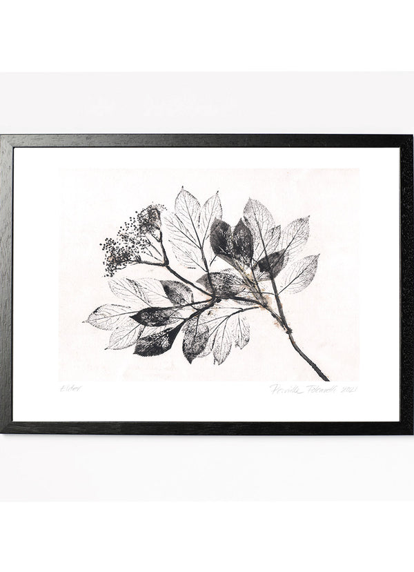 Pernille Folcarelli Elder 2