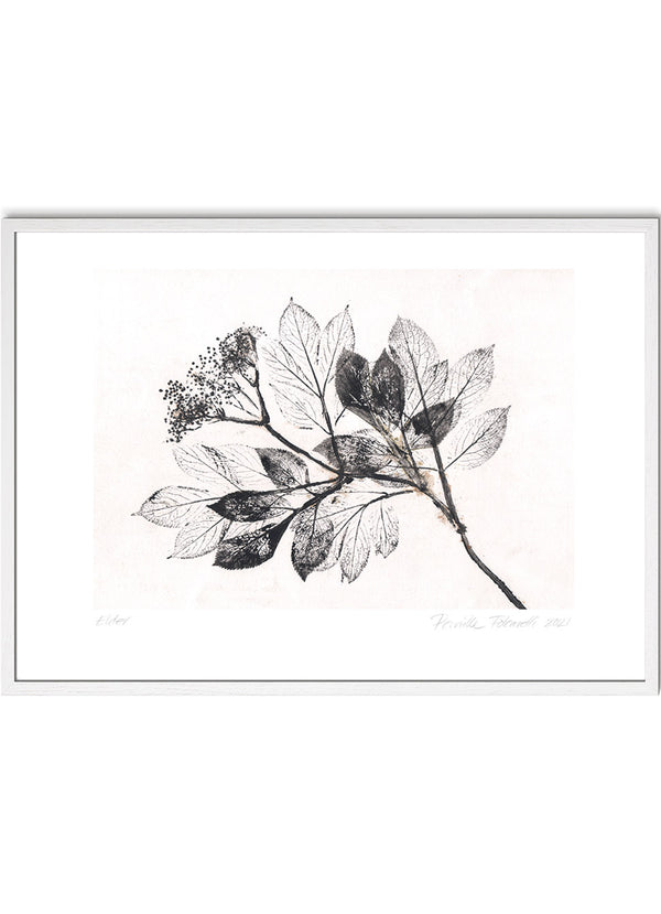 Pernille Folcarelli Elder 2