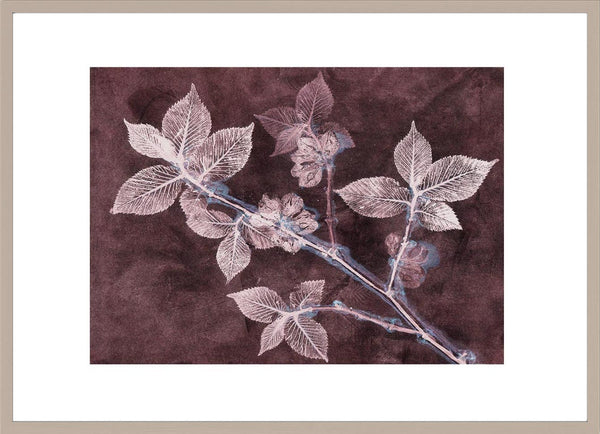 Pernille Folcarelli Elm 2 Dark