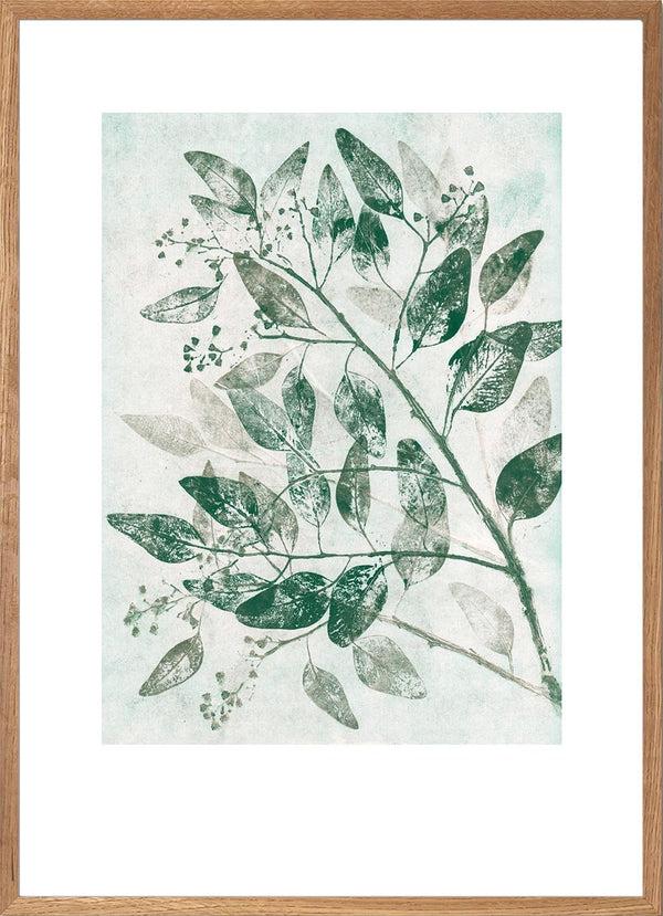 Pernille Folcarelli Eucalyptus 1 Green