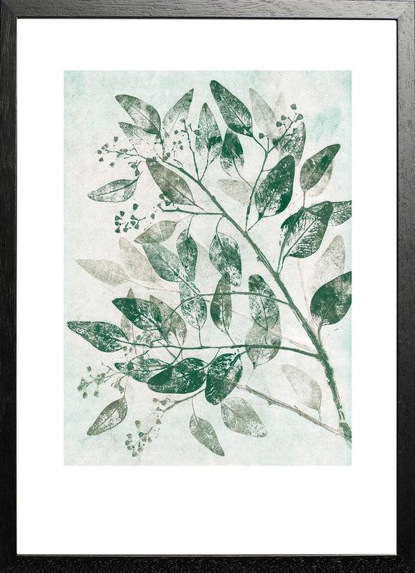 Pernille Folcarelli Eucalyptus 1 Green