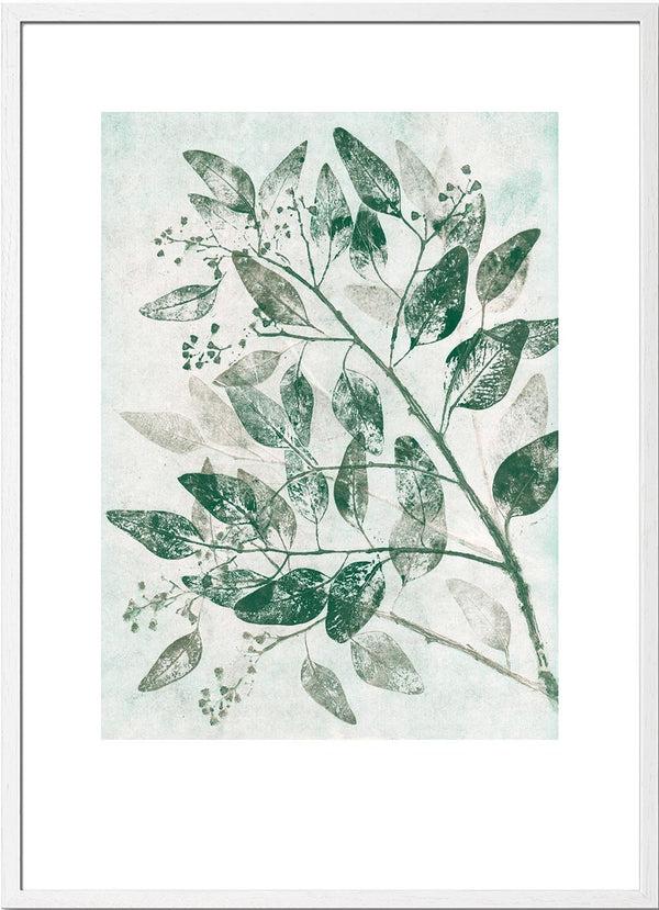 Pernille Folcarelli Eucalyptus 1 Green