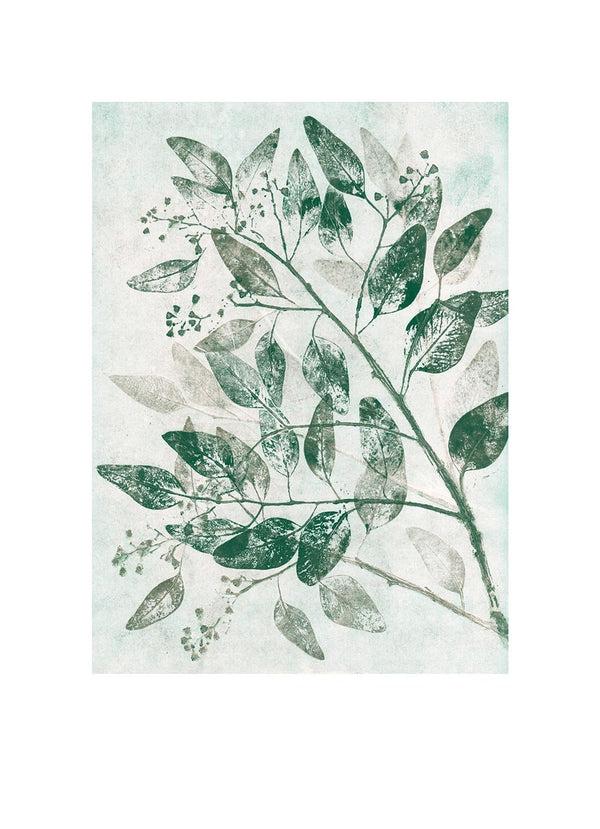 Pernille Folcarelli Eucalyptus 1 green