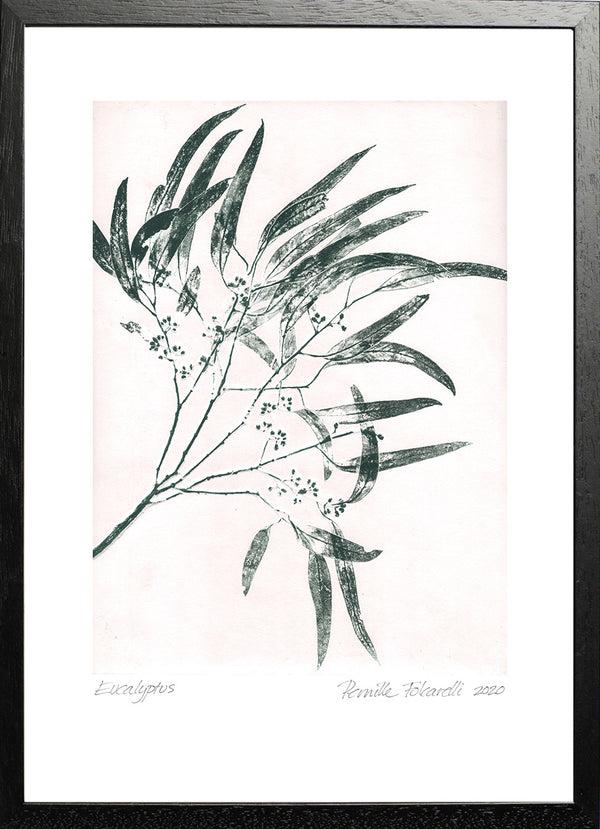 Pernille Folcarelli Eucalyptus 2 Green