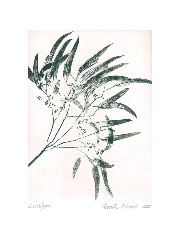 Pernille Folcarelli Eucalyptus 2 Green