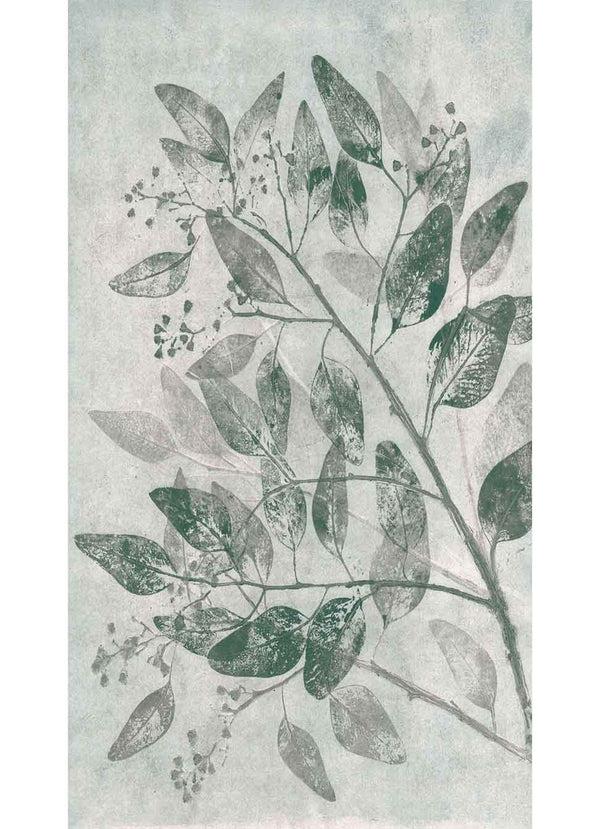 Pernille Folcarelli Eucalyptus Curtain Sage