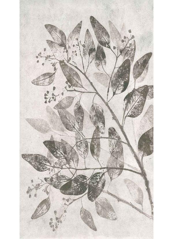 Pernille Folcarelli Eucalyptus Curtain Warm Grey