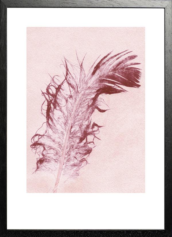 Pernille Folcarelli Feather Marsala