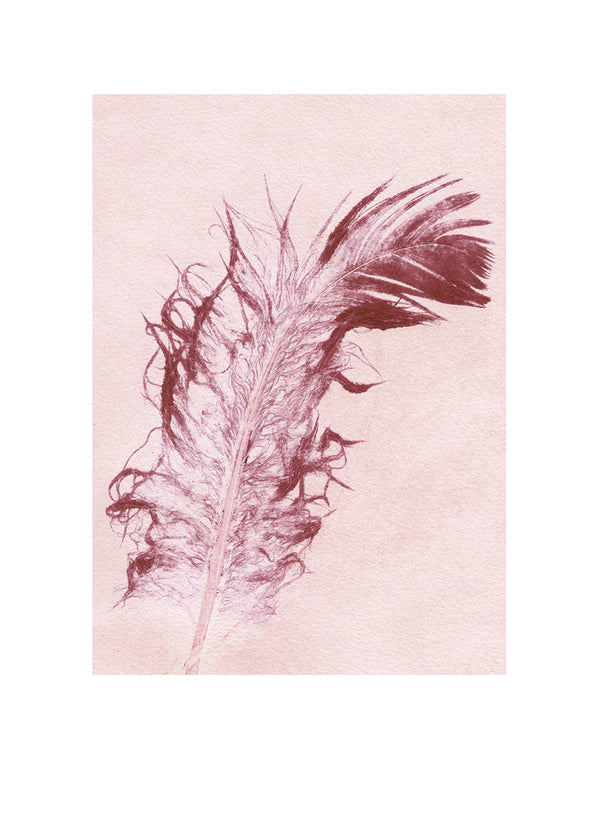 Pernille Folcarelli Feather Marsala